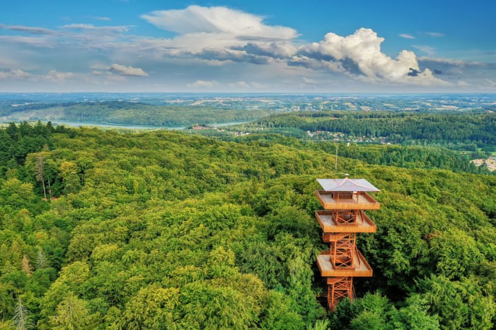 Photo of a forest lookou